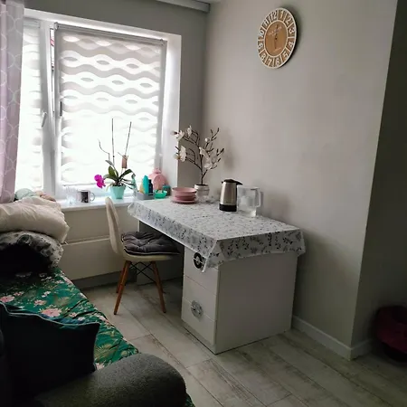 Cute Near The Centrum 民宿 *